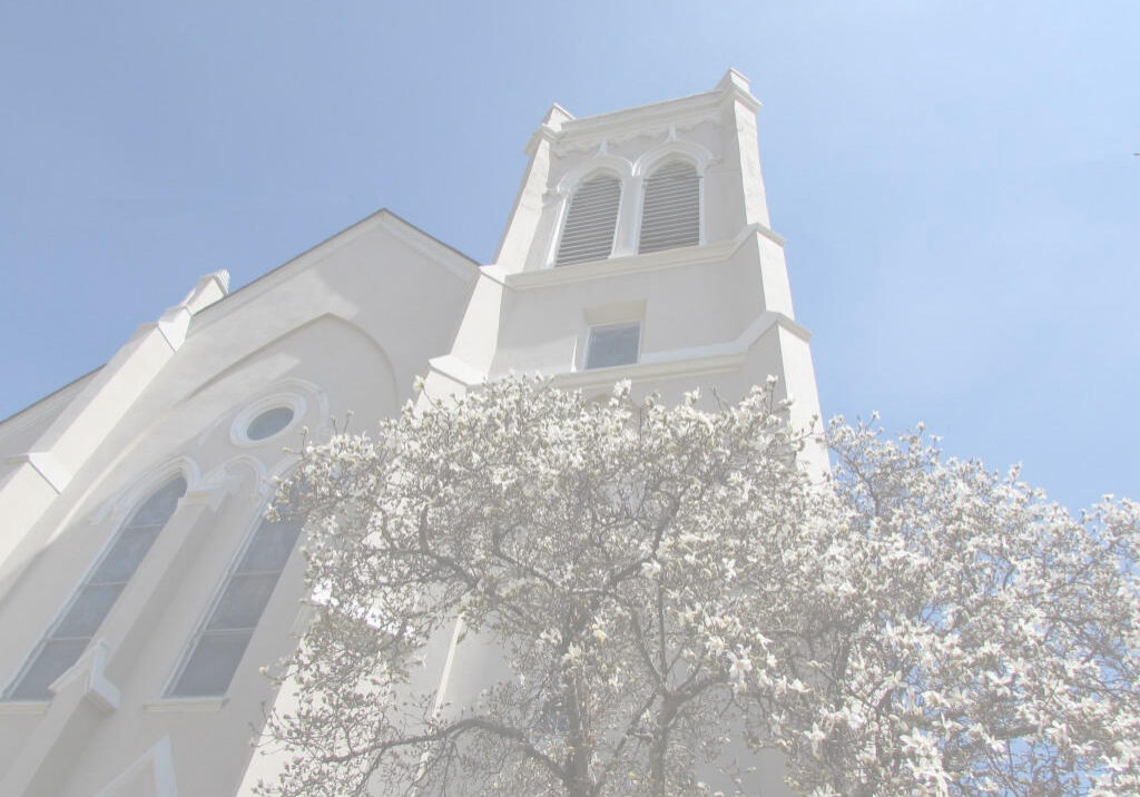 A church with a tree in front of it